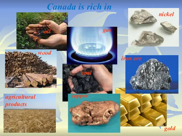 gas oil coal iron ore nickel copper Canada is rich in agricultural products gold wood