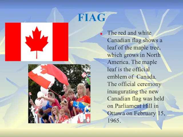 FIAG The red and white Canadian flag shows a leaf