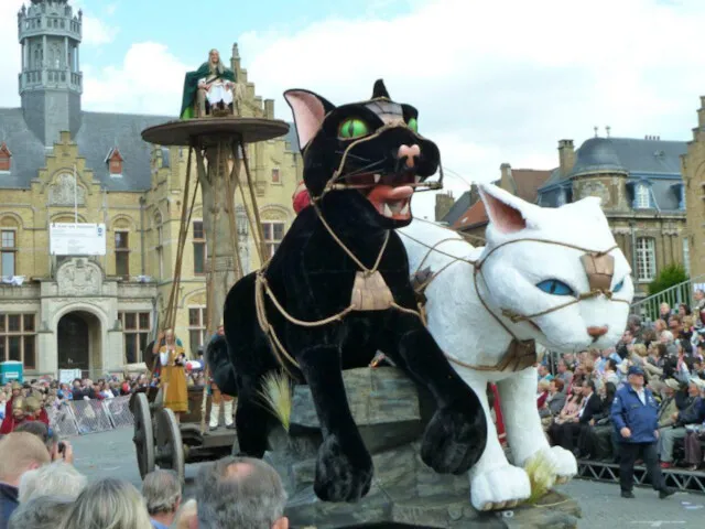 Фестиваль кошек праздничный парад в бельгийском городе Ипр, проводимый в честь кошек