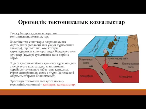 Орогендік тектоникалық қозғалыстар Тау жүйелерін қалыптастыратын тектоникалық қозғалыстар. Өздеріне тəн