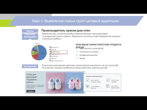 Кейс 1: Выявление новых групп целевой аудитории Производитель краски для