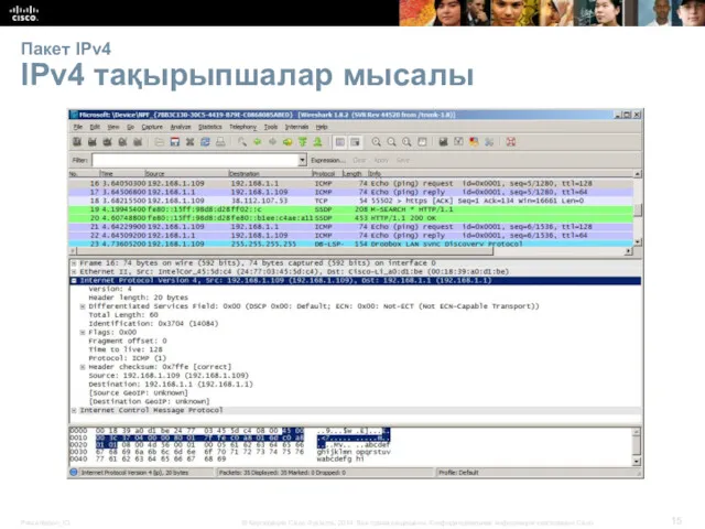 Пакет IPv4 IPv4 тақырыпшалар мысалы