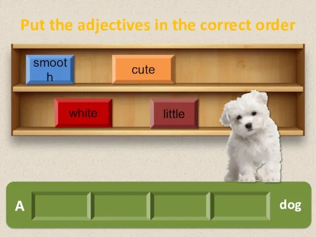 A white cute smooth little dog Put the adjectives in the correct order