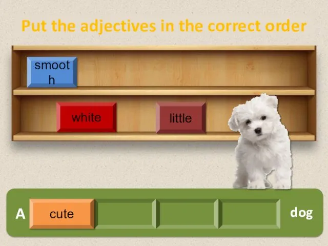 A white smooth little dog cute Put the adjectives in the correct order