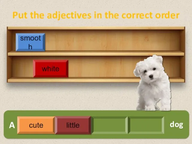 A white smooth dog cute little Put the adjectives in the correct order