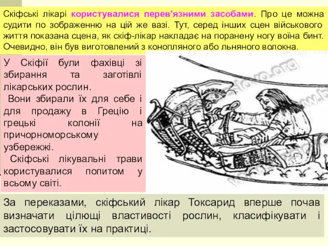 Скіфські лікарі користувалися перев'язними засобами. Про це можна судити по