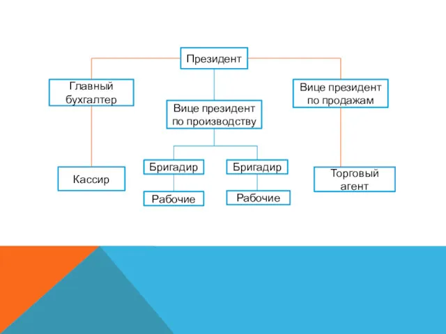 Президент Вице президент по производству Главный бухгалтер Вице президент по