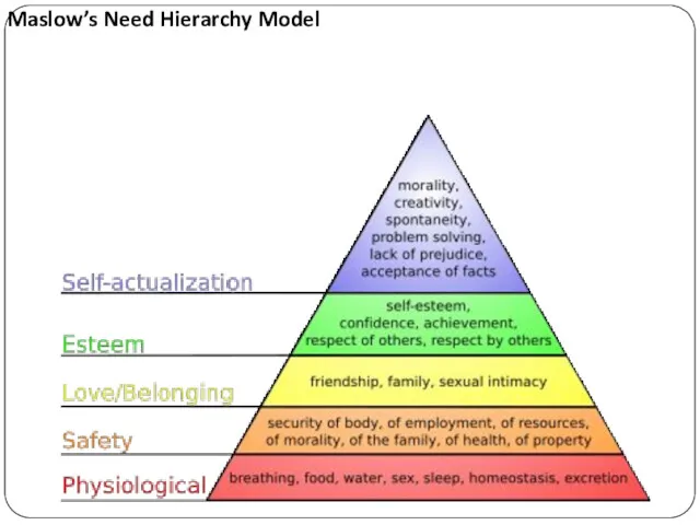 Maslow’s Need Hierarchy Model