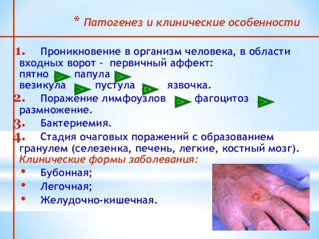 Патогенез и клинические особенности Проникновение в организм человека, в области