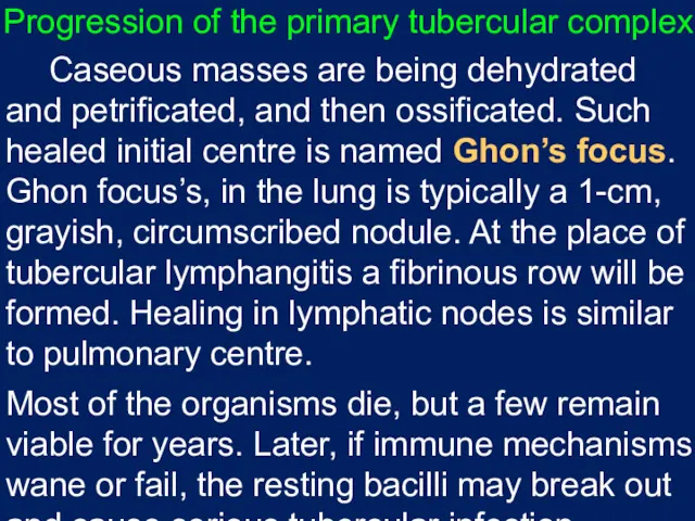 Progression of the primary tubercular complex Caseous masses are being dehydrated and petrificated,