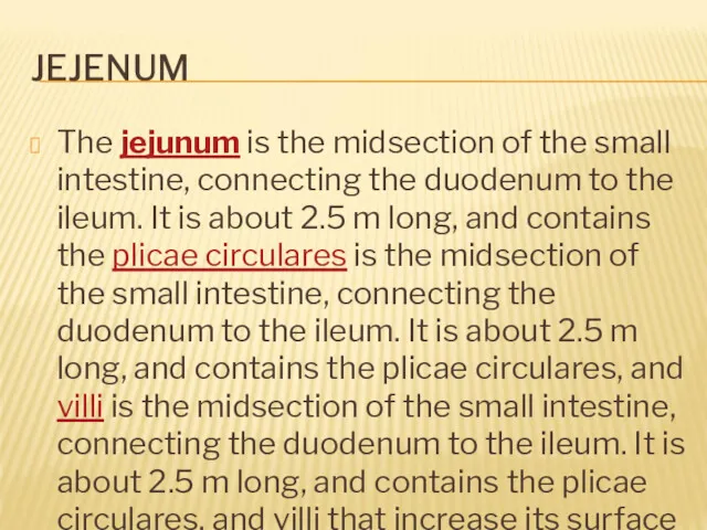 JEJENUM The jejunum is the midsection of the small intestine, connecting the duodenum