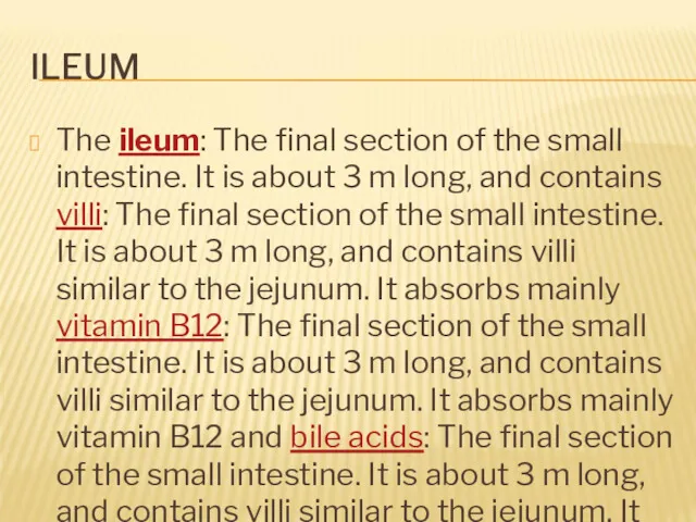 ILEUM The ileum: The final section of the small intestine.