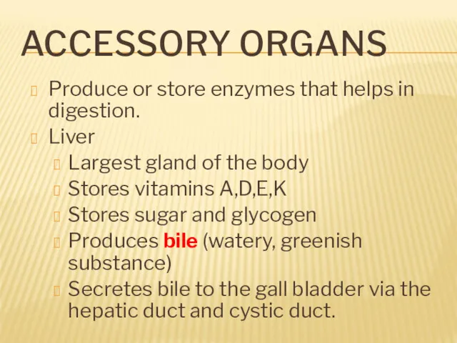 ACCESSORY ORGANS Produce or store enzymes that helps in digestion.