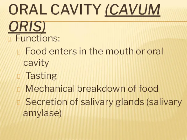 ORAL CAVITY (CAVUM ORIS) Functions: Food enters in the mouth