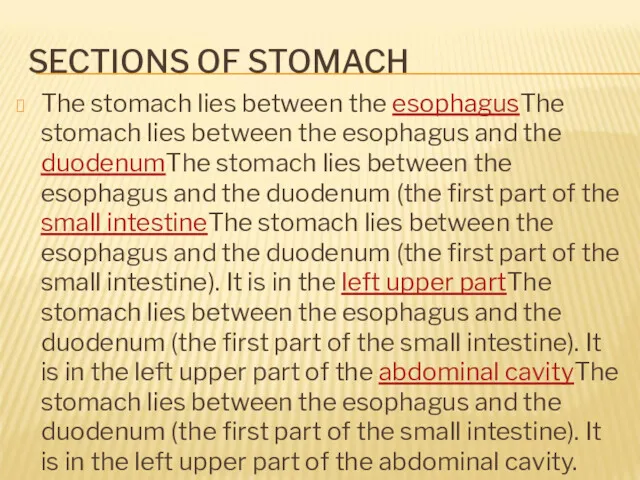 SECTIONS OF STOMACH The stomach lies between the esophagusThe stomach lies between the