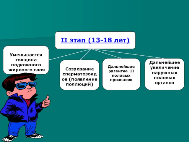 II этап (13-18 лет) Уменьшается толщина подкожного жирового слоя Созревание