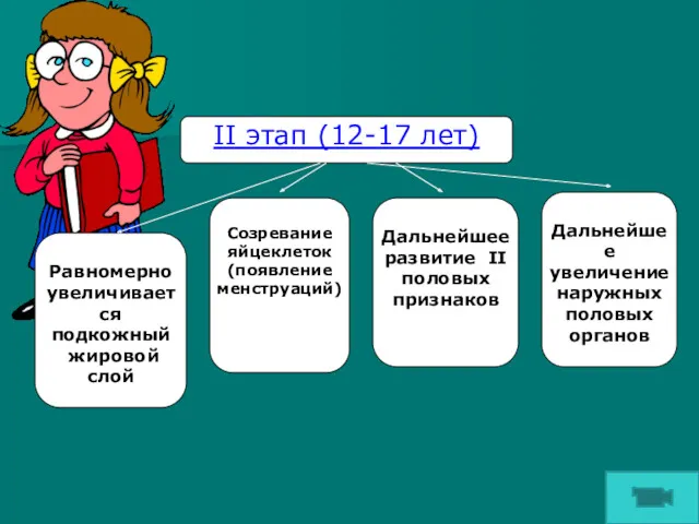 II этап (12-17 лет) Равномерно увеличивается подкожный жировой слой Созревание