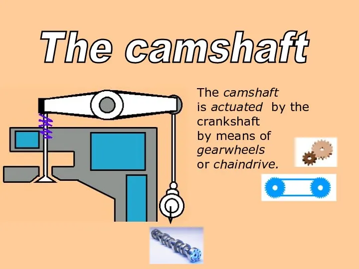 The camshaft The camshaft is actuated by the crankshaft by means of gearwheels or chaindrive.