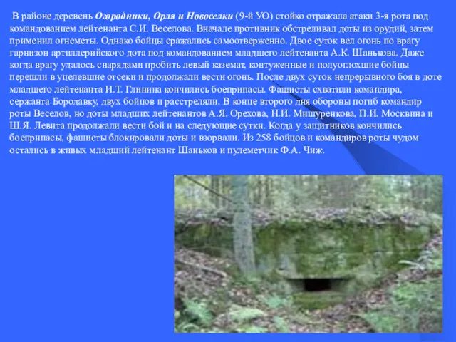 В районе деревень Огородники, Орля и Новоселки (9-й УО) стойко