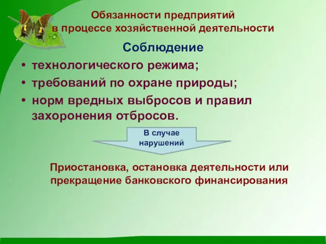 Обязанности предприятий в процессе хозяйственной деятельности Соблюдение технологического режима; требований