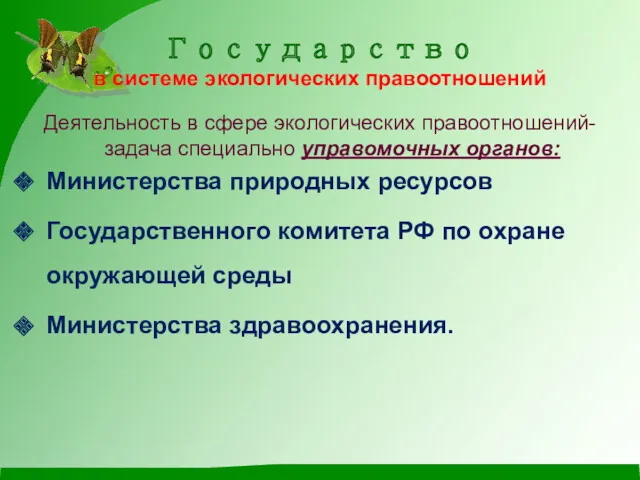 Государство в системе экологических правоотношений Деятельность в сфере экологических правоотношений-