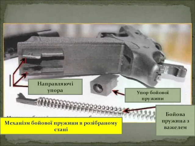 Направляючі упора Упор бойової пружини Бойова пружина з важелем Механізм бойової пружини в розібраному стані