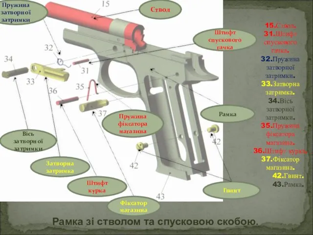 15.Ствол. 31.Штифт спускового гачка. 32.Пружина затворної затримки. 33.Затворна затримка. 34.Вісь