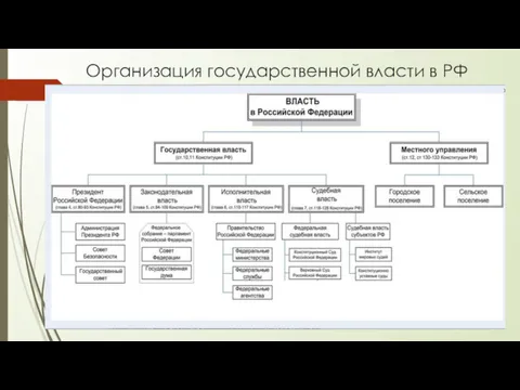 Организация государственной власти в РФ