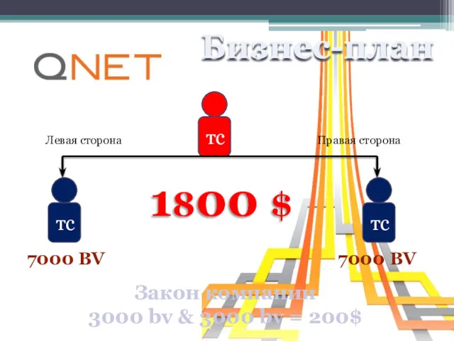 Бизнес-план тс тс тс Левая сторона Правая сторона 7000 BV