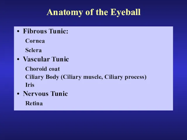 Anatomy of the Eyeball Fibrous Tunic: Cornea Sclera Vascular Tunic Choroid coat Ciliary