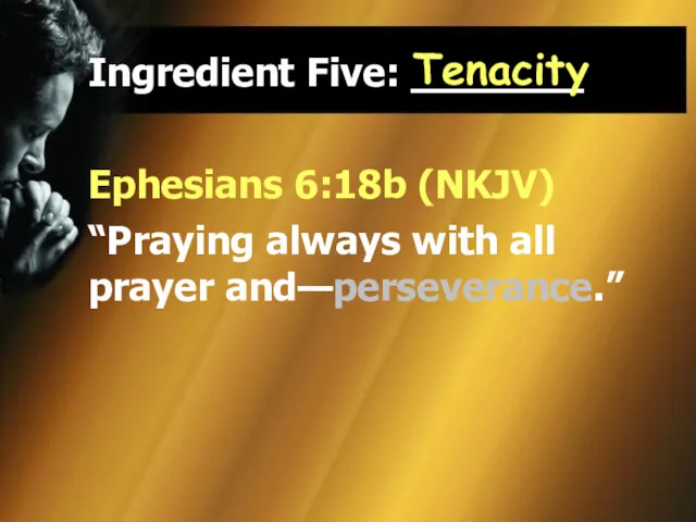 Ingredient Five: _______ Ephesians 6:18b (NKJV) “Praying always with all prayer and—perseverance.” Tenacity