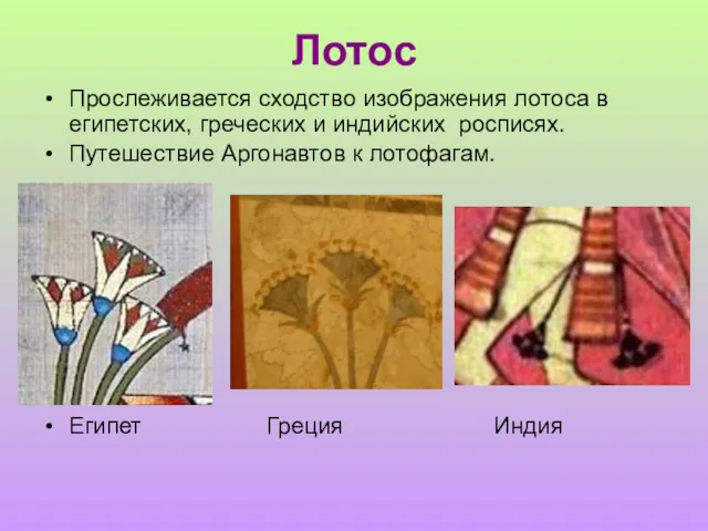Лотос Прослеживается сходство изображения лотоса в египетских, греческих и индийских