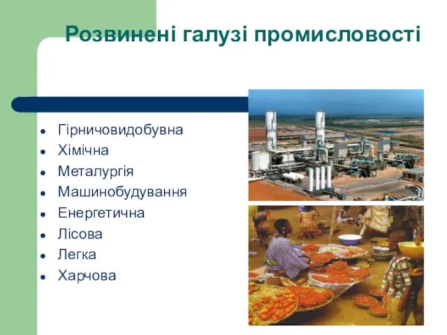 Розвинені галузі промисловості Гірничовидобувна Хімічна Металургія Машинобудування Енергетична Лісова Легка Харчова