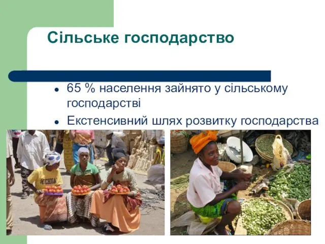 Сільське господарство 65 % населення зайнято у сільському господарстві Екстенсивний шлях розвитку господарства