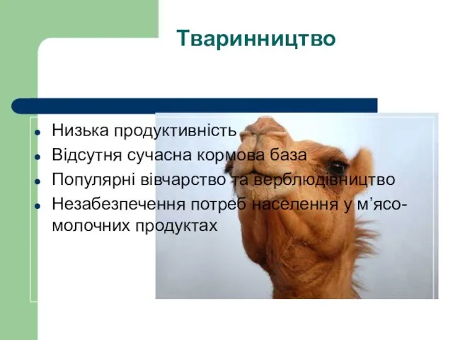 Тваринництво Низька продуктивність Відсутня сучасна кормова база Популярні вівчарство та