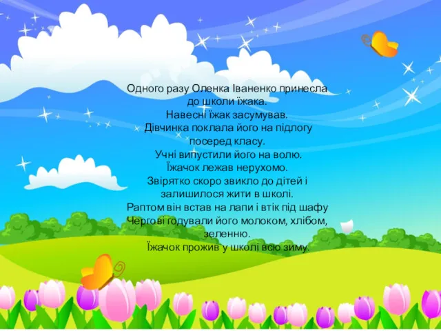 Одного разу Оленка Іваненко принесла до школи їжака. Навесні їжак