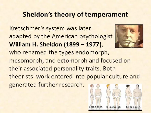 Sheldon’s theory of temperament Kretschmer’s system was later adapted by the American psychologist