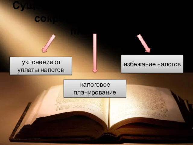 Существуют три основных пути сокращения налоговых платежей: уклонение от уплаты налогов налоговое планирование избежание налогов
