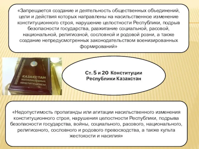 «Запрещается создание и деятельность общественных объединений, цели и действия которых