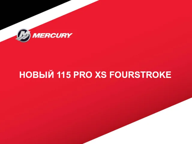 НОВЫЙ 115 PRO XS FOURSTROKE