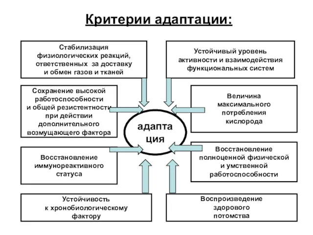 Критерии адаптации: Стабилизация физиологических реакций, ответственных за доставку и обмен