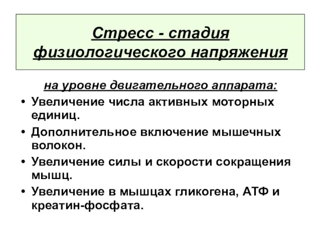 Стресс - стадия физиологического напряжения на уровне двигательного аппарата: Увеличение