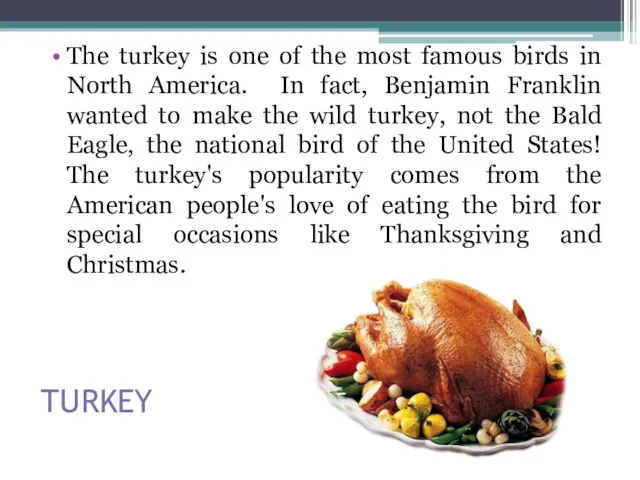 TURKEY The turkey is one of the most famous birds