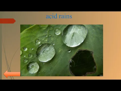 myroslava acid rains