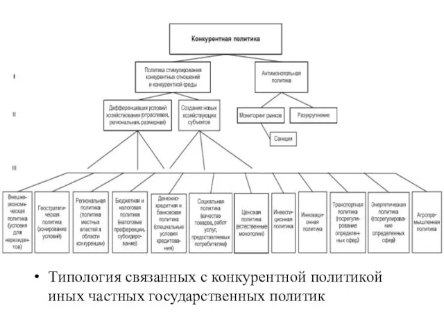 Типология связанных с конкурентной политикой иных частных государственных политик