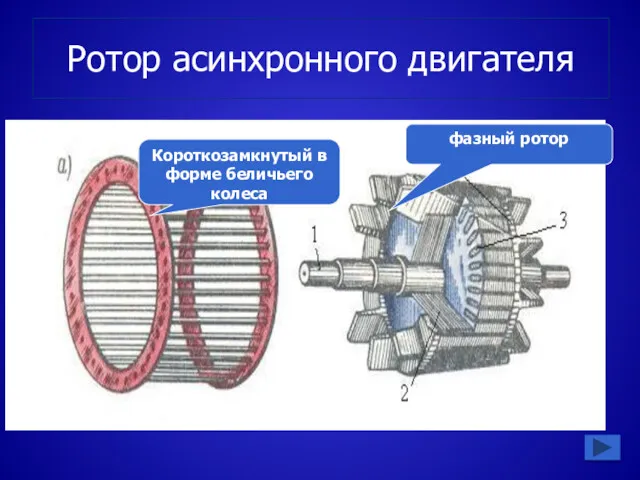 Ротор асинхронного двигателя Короткозамкнутый в форме беличьего колеса фазный ротор