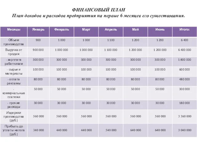 ФИНАНСОВЫЙ ПЛАН План доходов и расходов предприятия на первые 6 месяцев его существования.