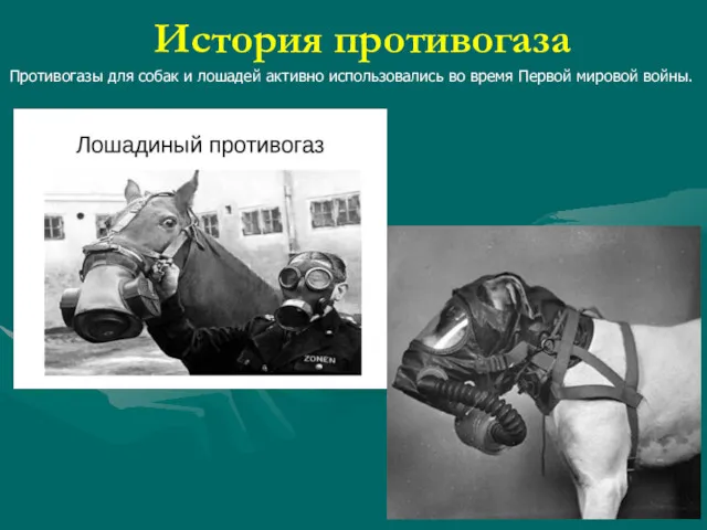 История противогаза Противогазы для собак и лошадей активно использовались во время Первой мировой войны.