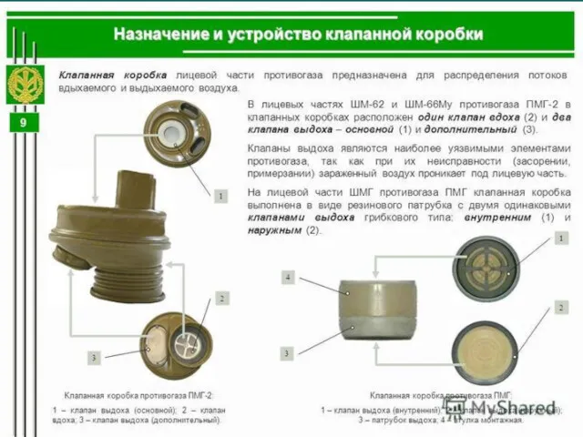 История противогаза Противогаз ПМГ ("Нерехта" ), ПМГ-2