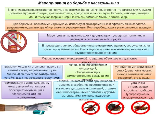 Мероприятия по борьбе с насекомыми и грызунами В организациях не